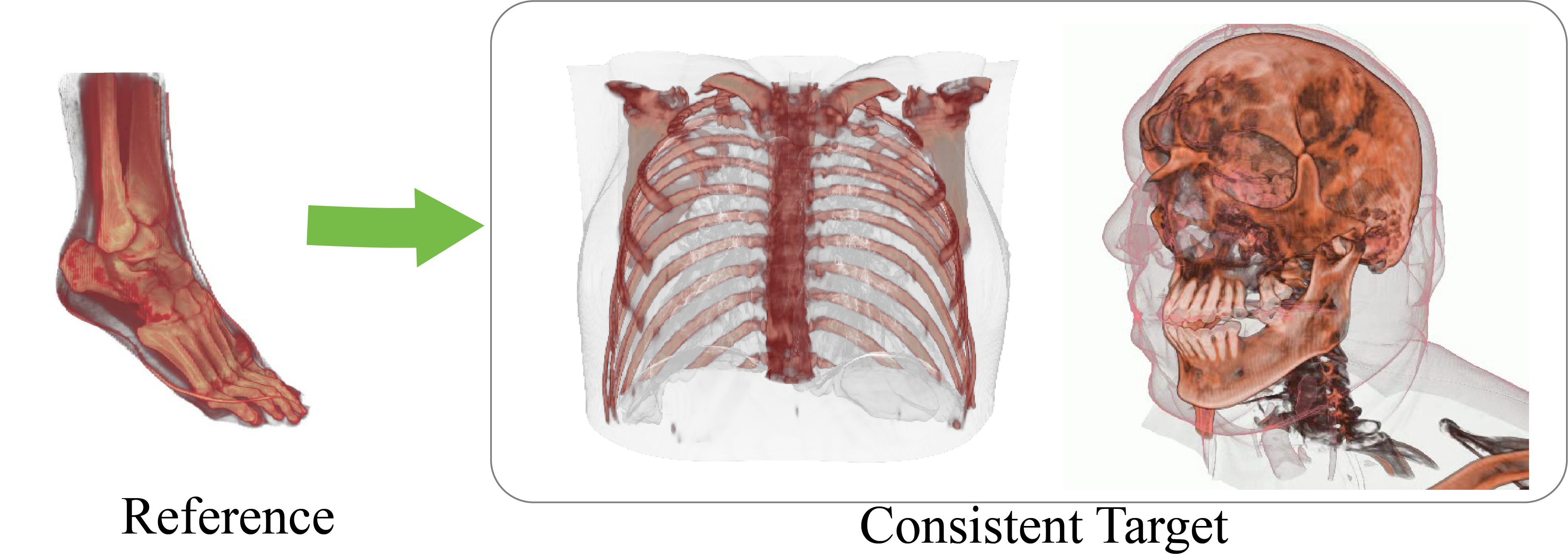 Case 1: Consistent Medical Visualization
